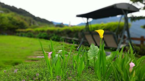 Family Suite with Balcony