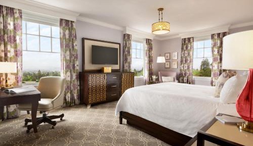 Superior King Room with View