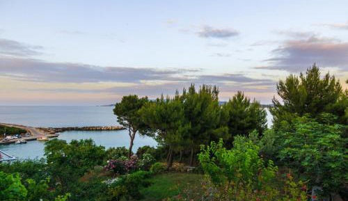 Studio Apartment with Sea View