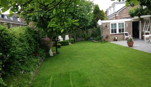 Single Room with Garden View