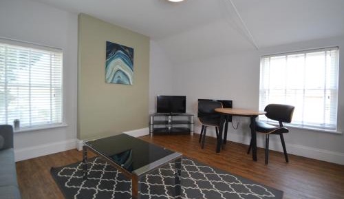 Deluxe One-Bedroom Apartment
