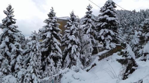 Studio with Fireplace