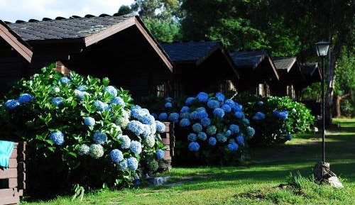 Cottage with Garden View