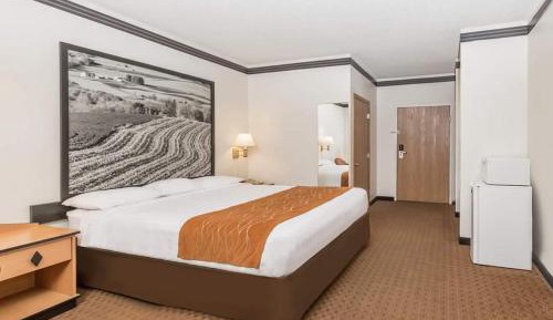 1 King Bed Non-Smoking