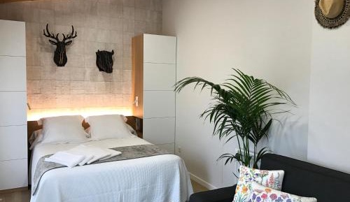 Superior Apartment with Garden View 