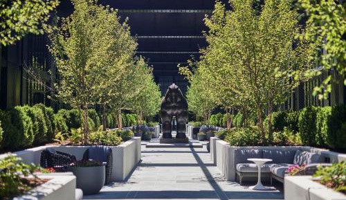 Courtyard King