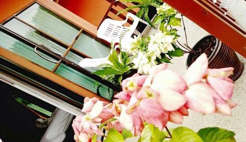 Deluxe Double or Twin Room with Garden View
