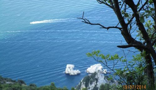 Apartment with Garden View