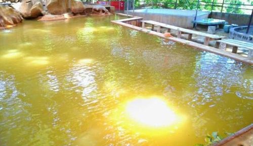 Single Bed in Female Dormitory Room