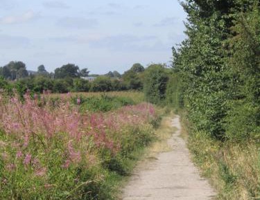 Double or Twin Room with Garden View