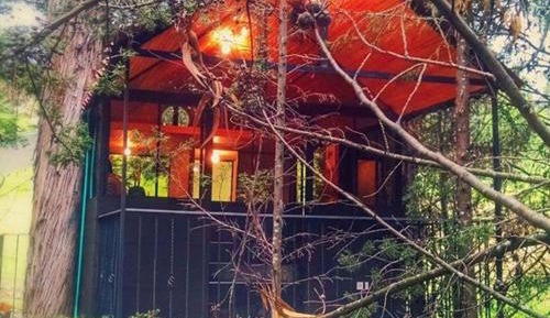Holiday Home
