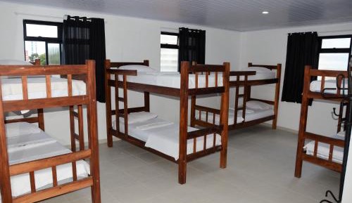 Bed in 8-Bed Mixed Dormitory Room