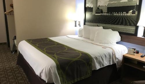 King Room - Non-Smoking