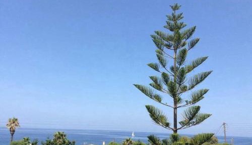 Deluxe Double Room with Balcony and Sea View