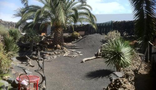 Studio with Garden View