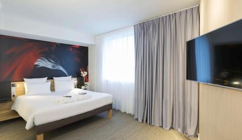 Suite with One King Bed and One Sofabed