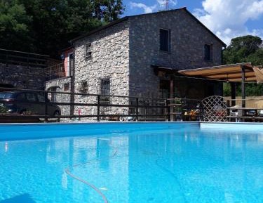 King Room with Pool View