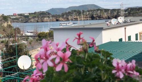 Double Room with Park View