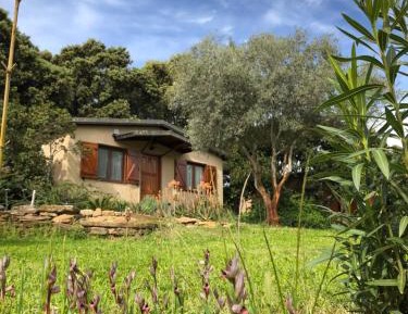 One-Bedroom Bungalow