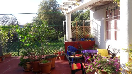 Double Room with Garden View