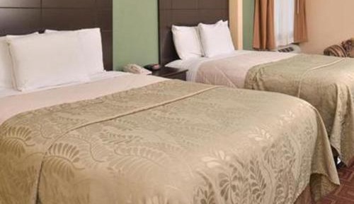 Queen Room with Two Queen Beds