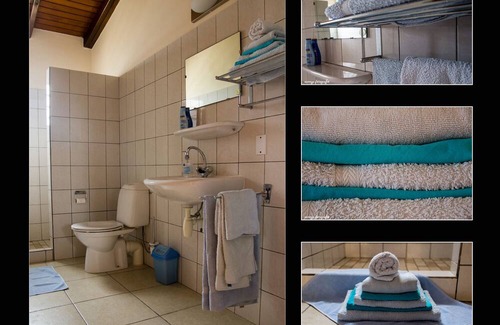 Sabal Palm House | Bonaire: Sabal Palm 50 guesthouse