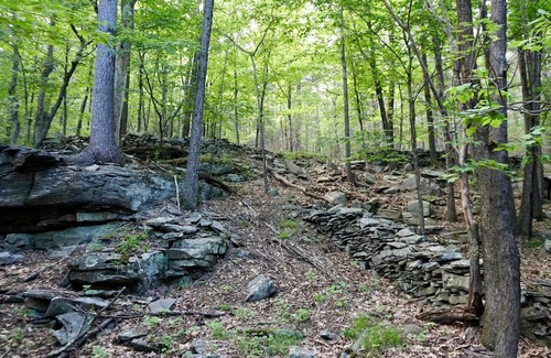 Town of Olive RV Rental | Tentrr Signature Site - Ashokan Reservoir Retreat