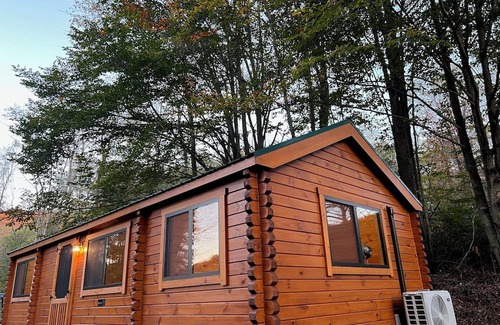 Mace Cabin | The Cozy Cabin: Mountain Escape at Snowshoe, WV