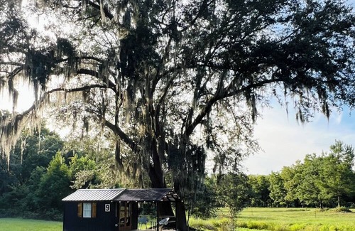Yemassee Cottage | Tiny House nestled on private farm. Just 1 mile off of I-95!