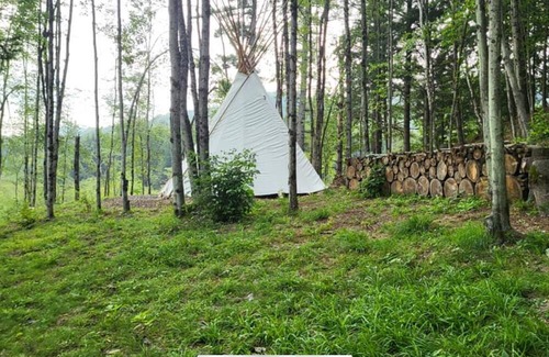 Williamstown Cabin | Lodges @ Tamias Post