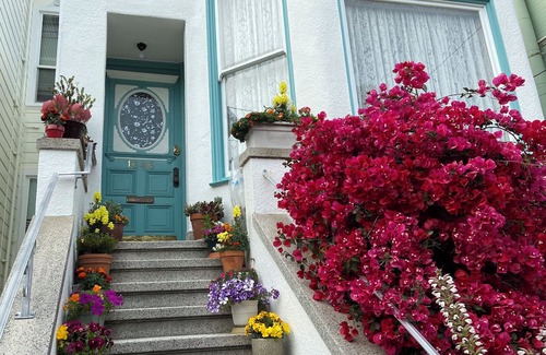 North of the Panhandle House | Large & Lovely Victorian House in the Heart of San Francisco