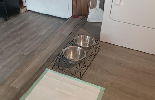 Oxford House | Casa con Jardín Para tu Familia y Mascota