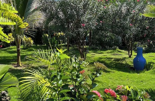 El Paredon House | Iguanas Bungalow /private bathroom and pool! AZURA