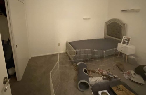 Palm Springs Apartment | 1 bedroom full access apartment -5 min from the strip