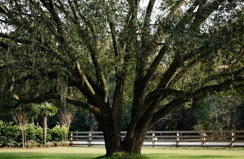 Fort White House | event venue