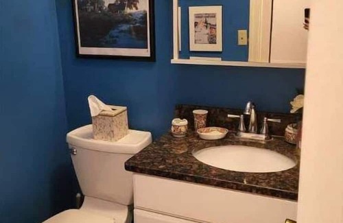 Cape Girardeau House | Comfortable family home for 12+ with chair lifts