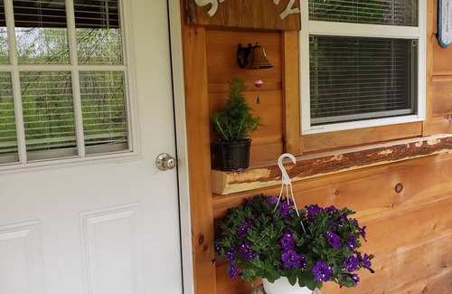 Blissfield Cabin | The Shanty: Lacy Rustic Vintage Sweet Cabin for 2