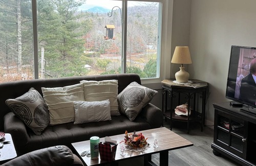 Crossnore Cottage | Dog-friendly all-season cottage with mountain views, firepit, grill, AC, & W/D