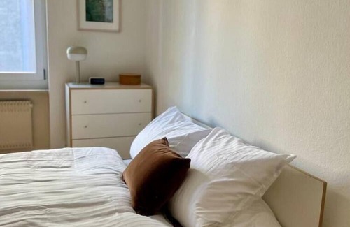 Altstadt Grossbasel Apartment | Schöne Grosse Wohnung Nähe Uni