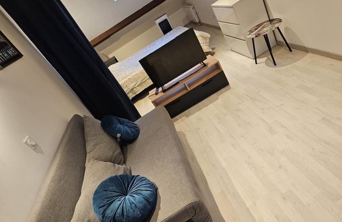 Quartier de France Apartment | Duplex Vichy Auvergne