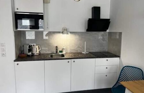 Grand Clement Apartment | Le Agatha : Accès Facile Gare/eurexpo/aéroport