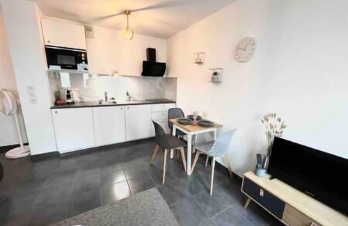 Grand Clement Apartment | Le Agatha : Accès Facile Gare/eurexpo/aéroport