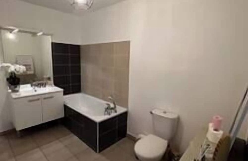 Grand Clement Apartment | Le Agatha : Accès Facile Gare/eurexpo/aéroport