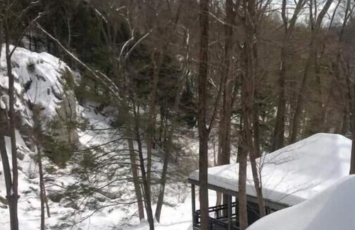Pound Ridge Cottage | Adirondacks in Westchester