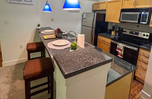 Downtown Richmond Apartment | The Sweet Spot w/City view/2bd 2bth/Parking/near VCU