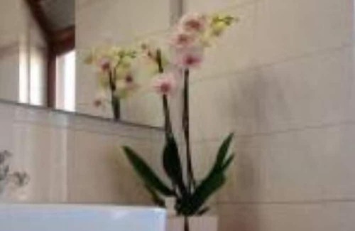 Regio Parco Apartment | Spacious 3Rm apartment for 4/6 people