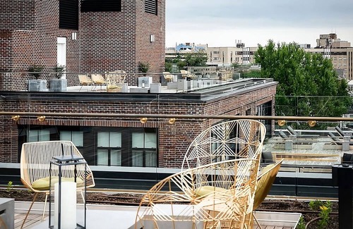 Adams Morgan House | Arts & Comfort, DC Suite Haven, Stylish Experience, 2 Chic Units!