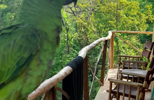 Rio Seco Cabin | Rustic Costa Rica experience. wooden house in the trees.