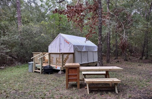 West Livingston RV Rental | Tentrr State Park Site - Texas Lake Livingston State Park - Site C - Single Camp