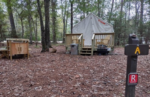 West Livingston RV Rental | Tentrr State Park Site - TX Lake Livingston State Park - Site A - Single Camp